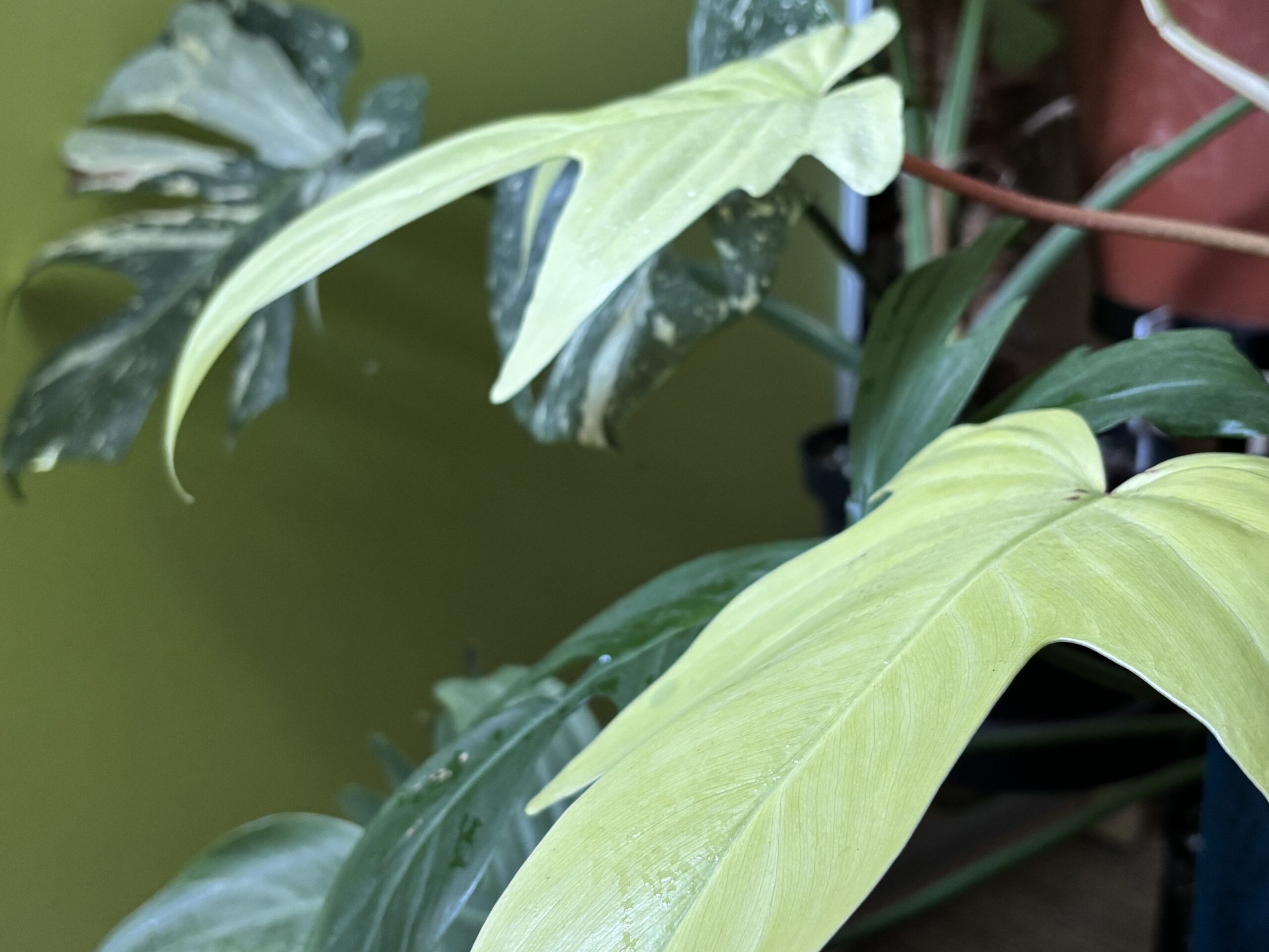image1 (2)