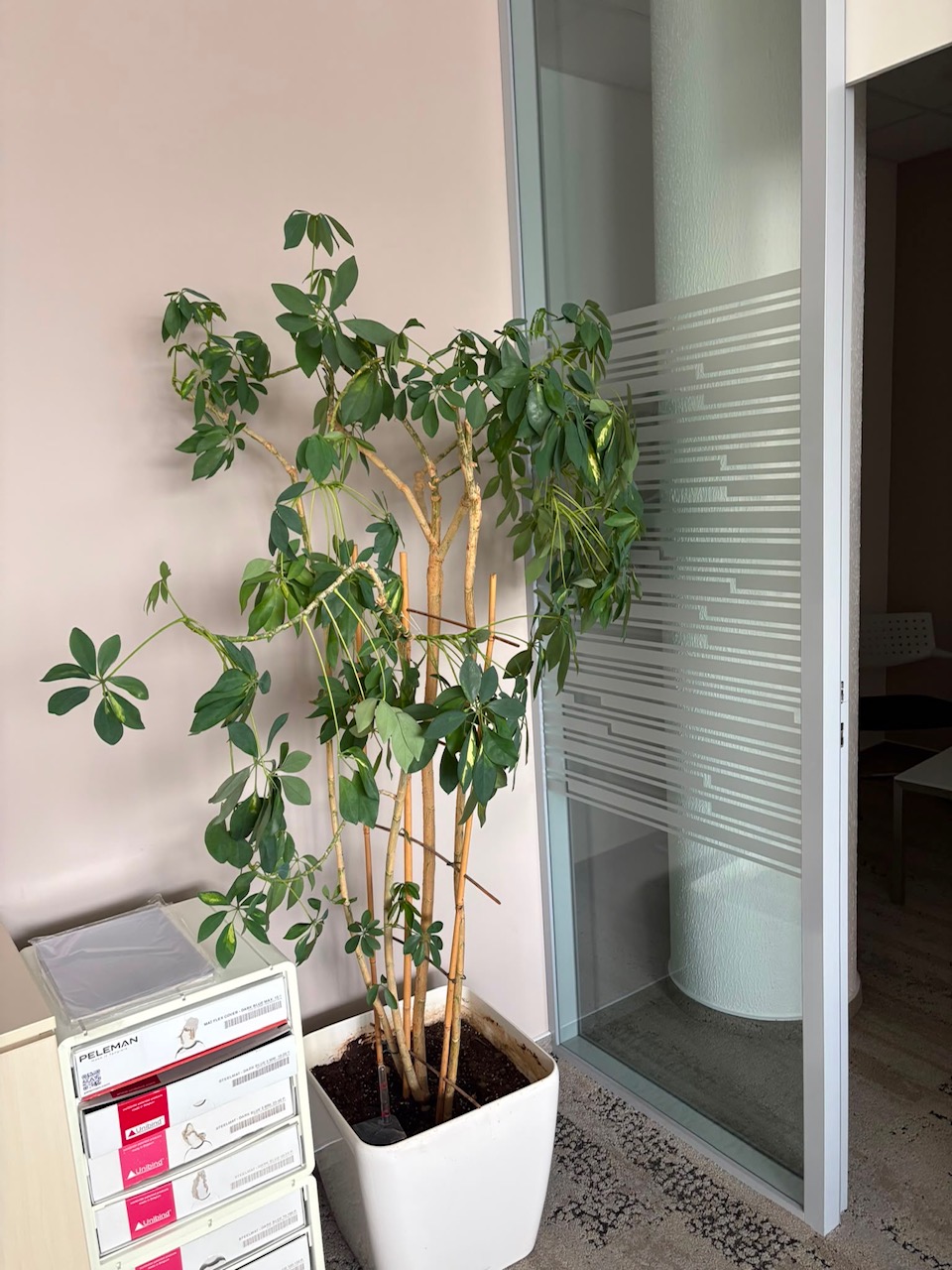image1 (4)