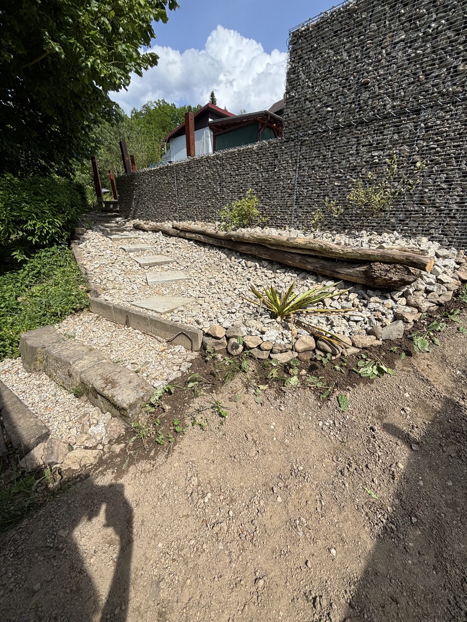 image4 (2)