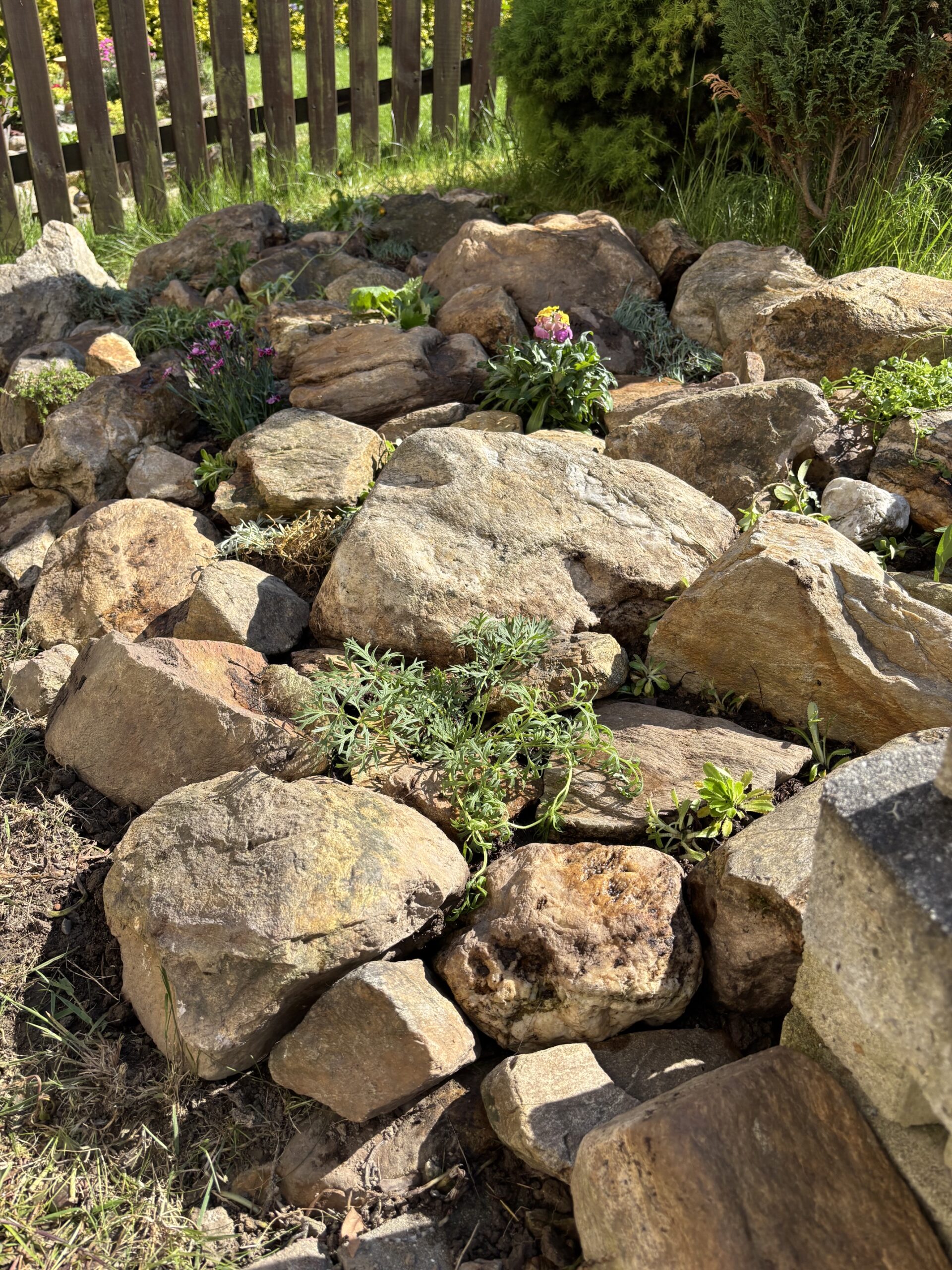 image5