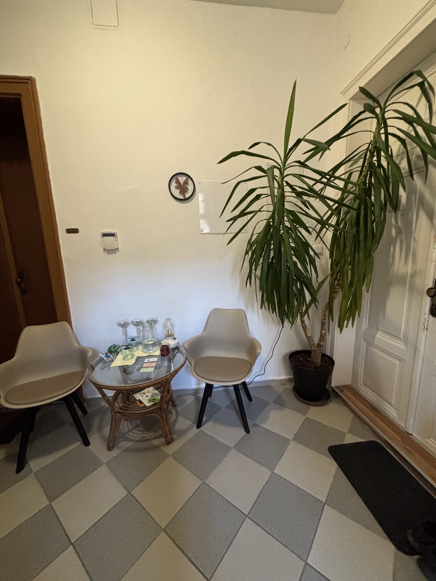 image8